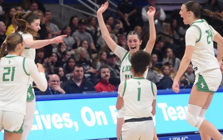 article image - South Fayette WPIAL Celebration